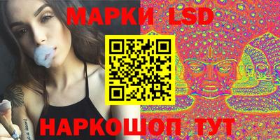 крисы Шебекино