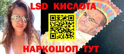крисы Шебекино