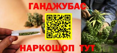 крисы Шебекино