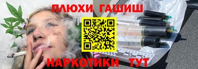крисы Шебекино