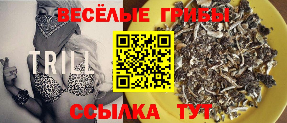 Галлюциногенные грибы Psilocybe Балашиха